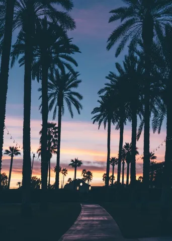 Palm Beach