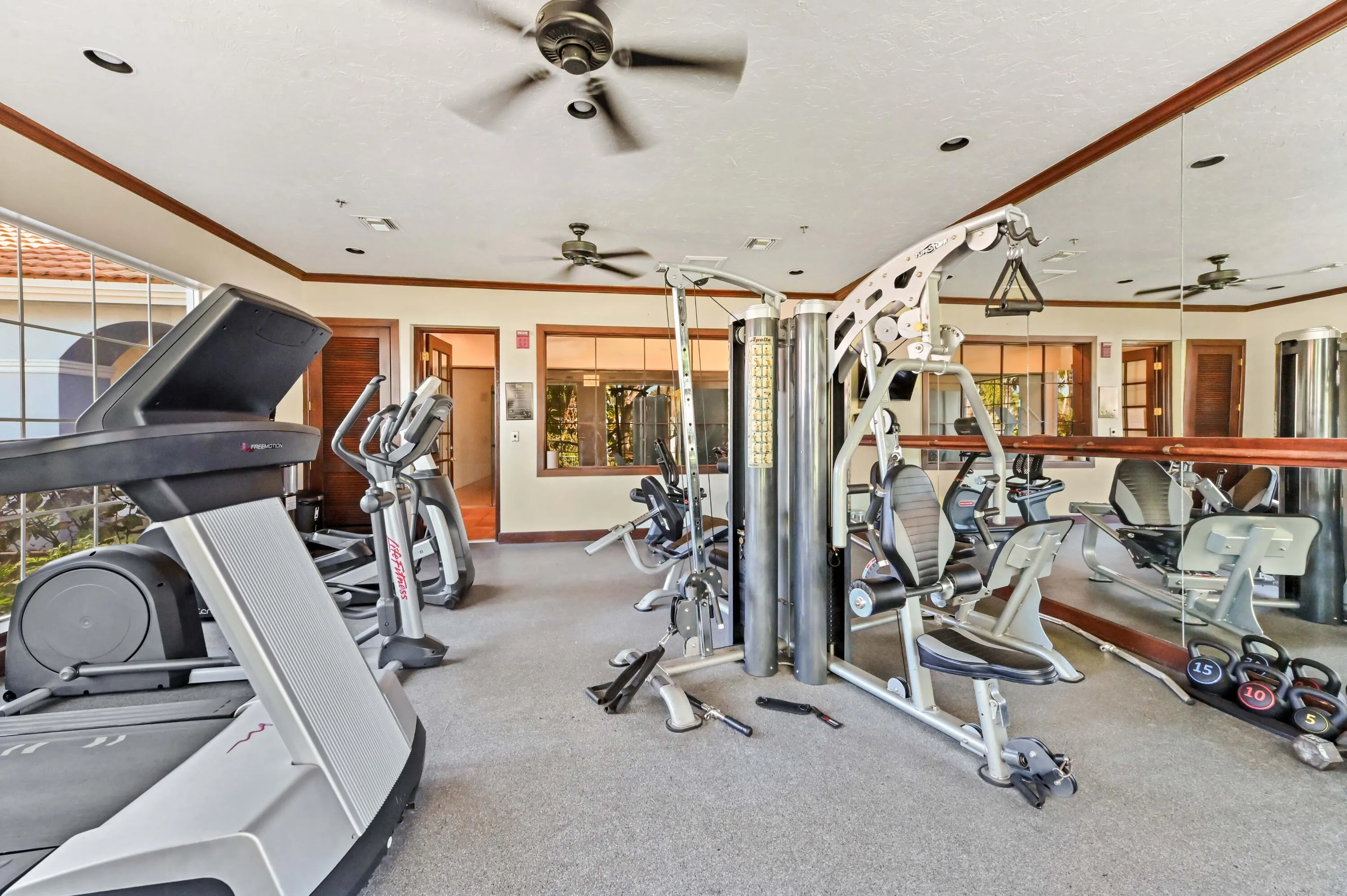 36 gym 02