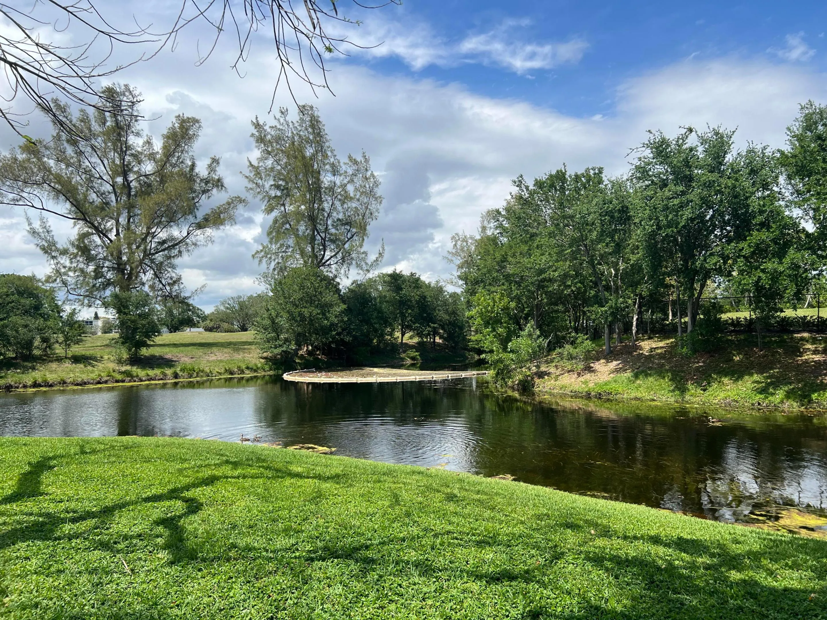 Stunning back yard view