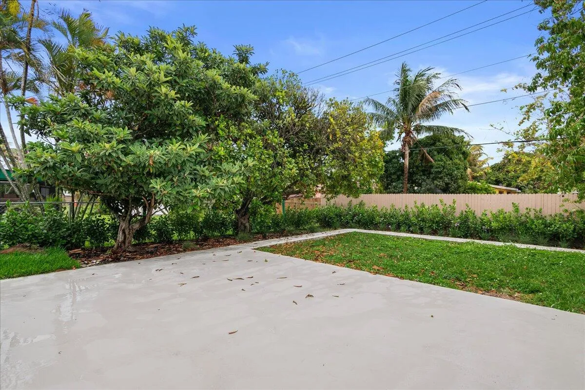 Backyard
