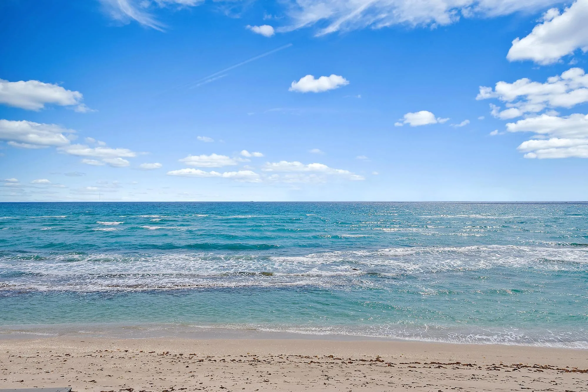 Ocean