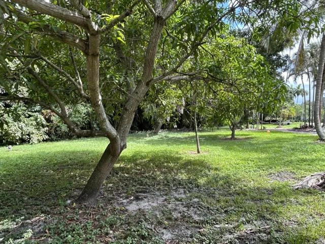 11621 side yard