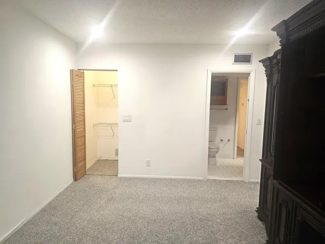Master walking in closet