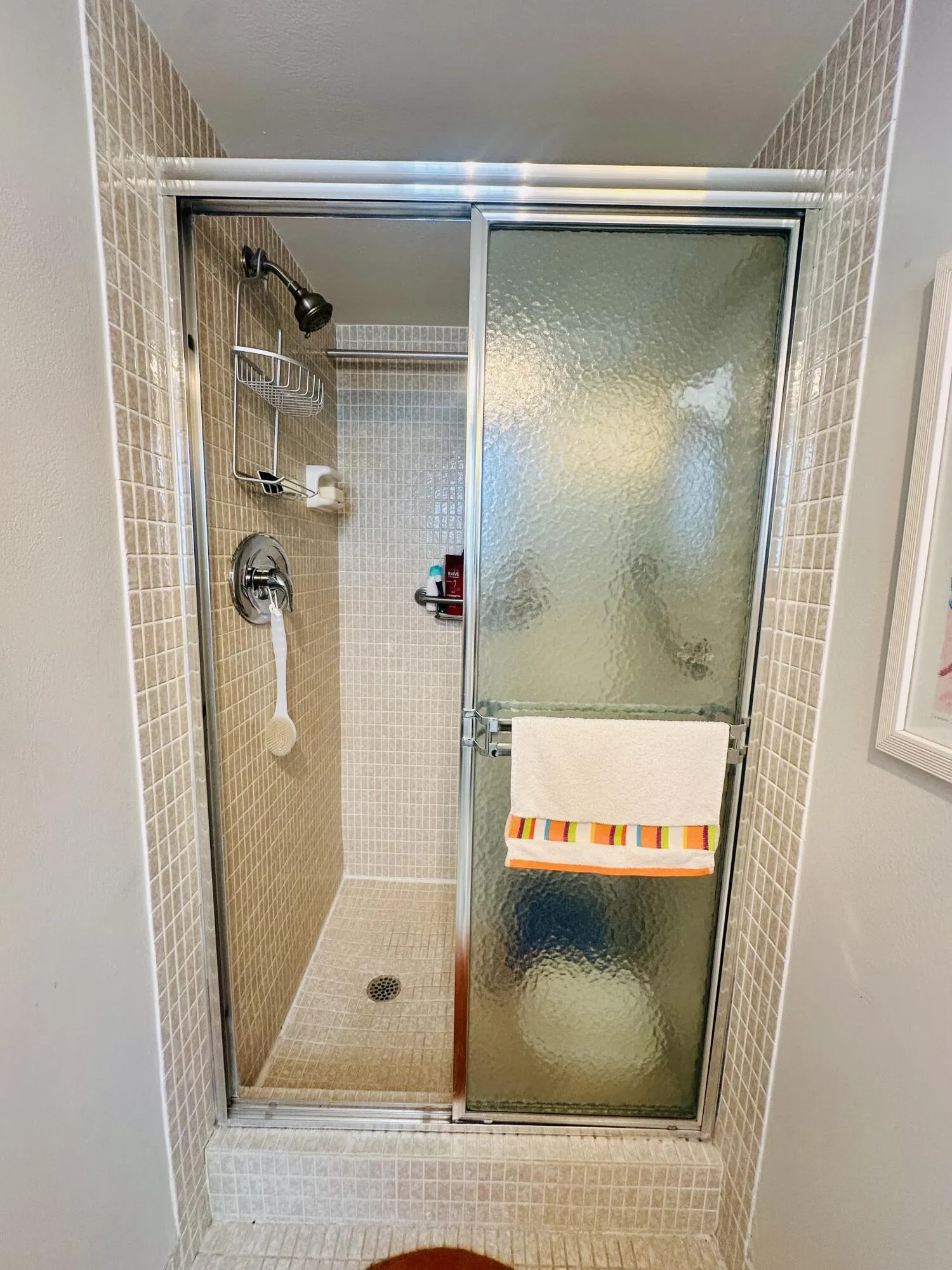 Guest Shower