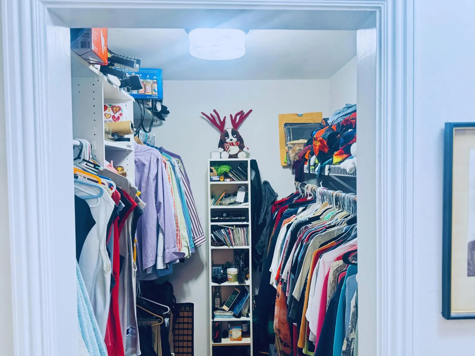 Primary Closet (2 of 2)