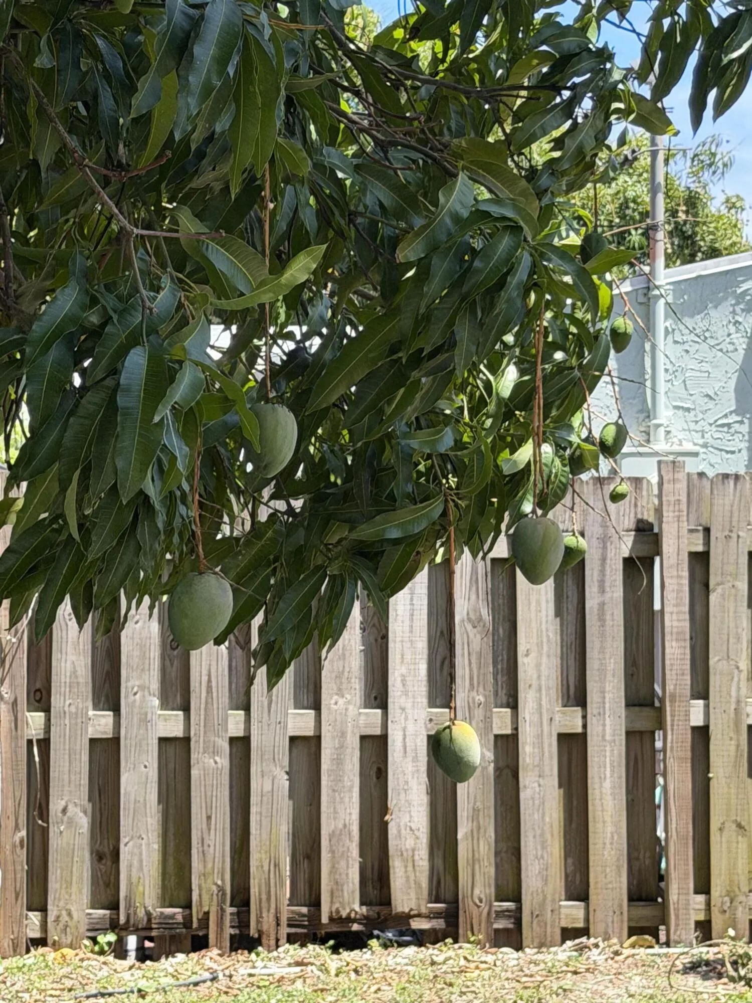 Property photo 21