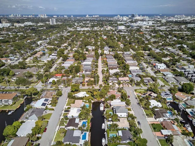 Aerial 4