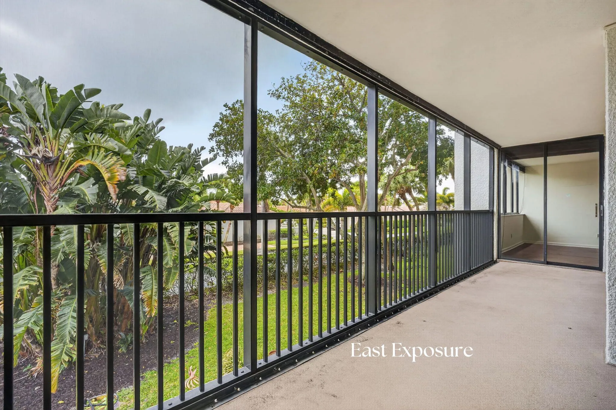 Balcony / East Exposure