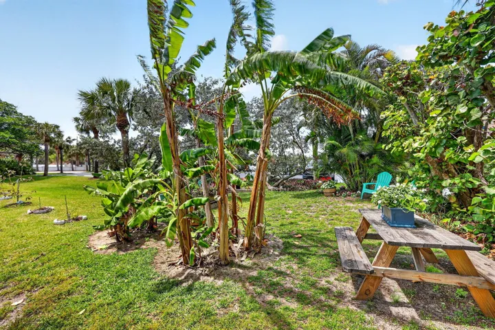 Garden area