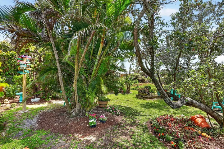 Garden area