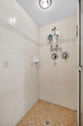 Shower master bathroom