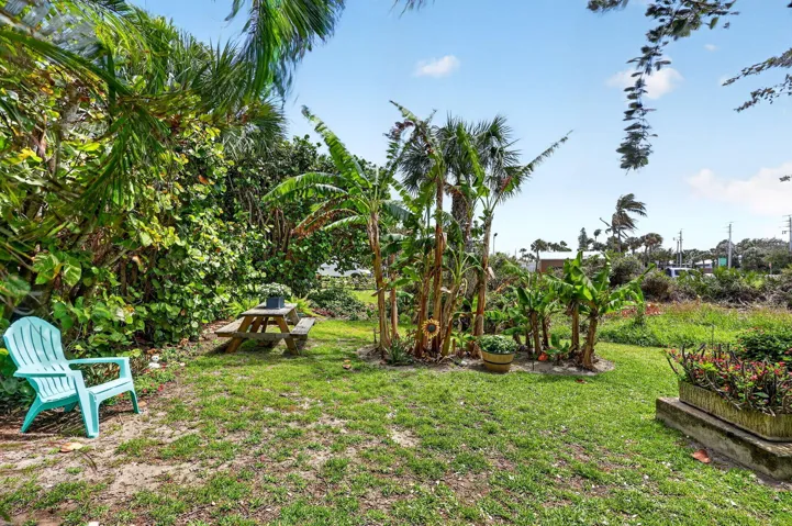 Garden area