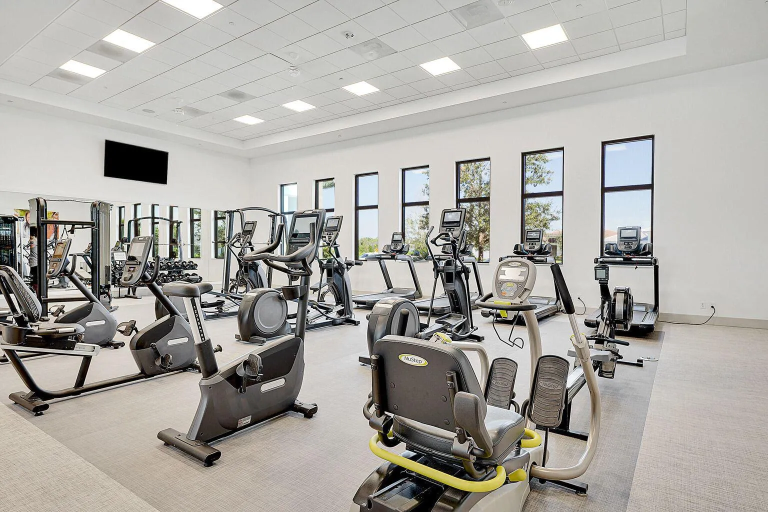Cresswind Gym