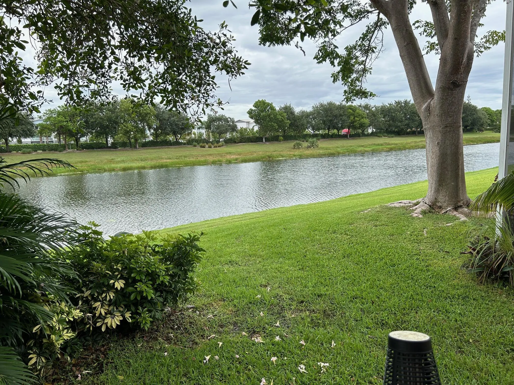 LAKEVIEW