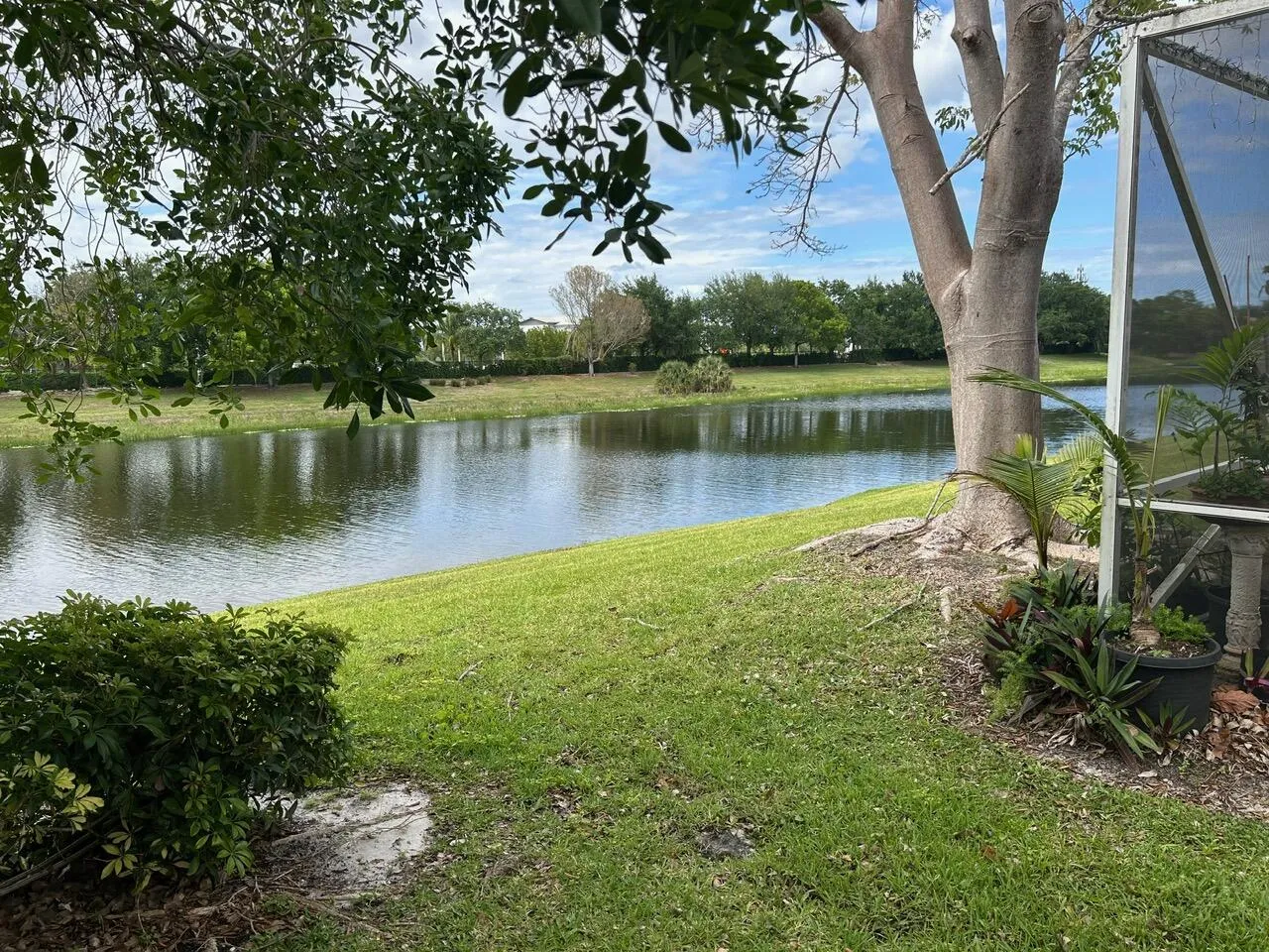 LAKE VIEW