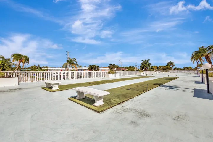 Shuffleboard