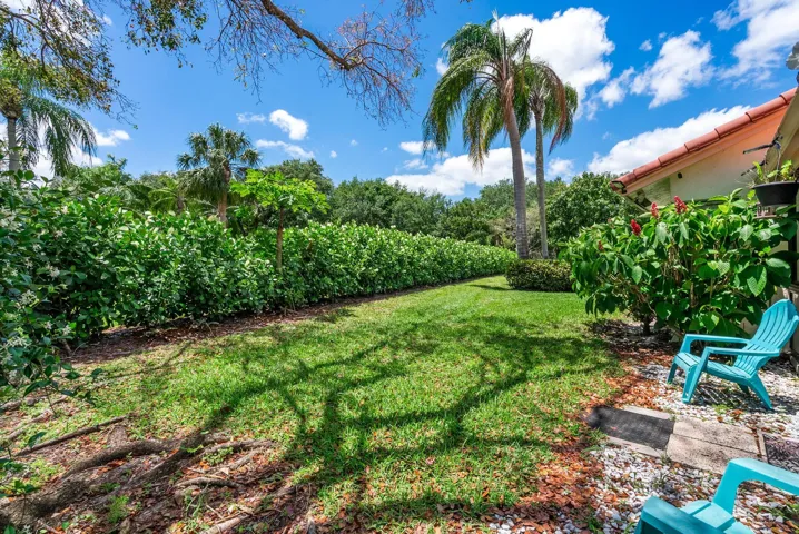 Private Backyard