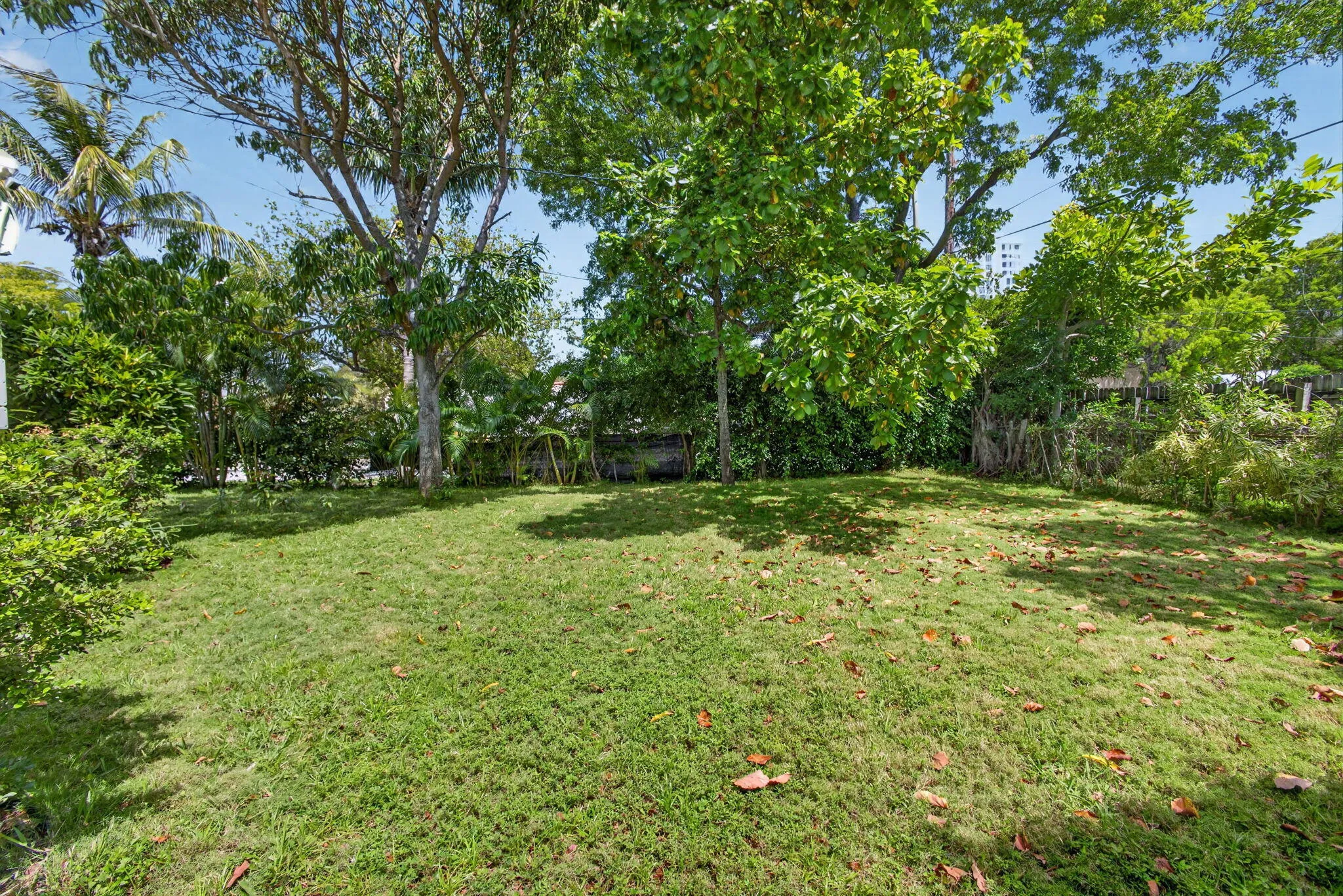 Property photo 58
