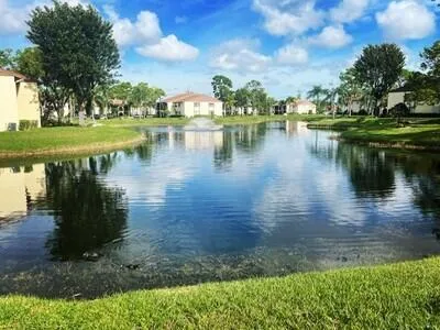 Pond