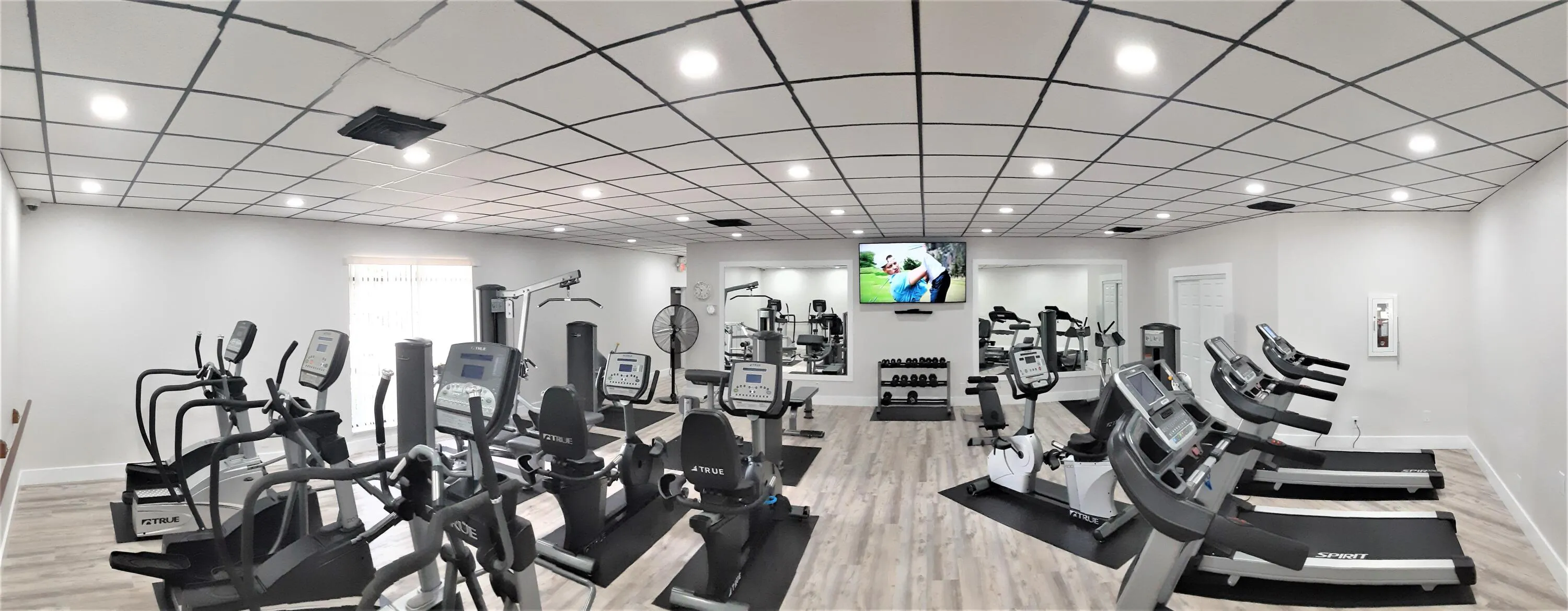 fitness
