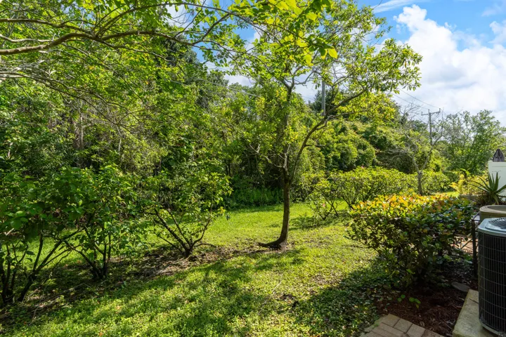 Surrounded by Lush trees in backyard