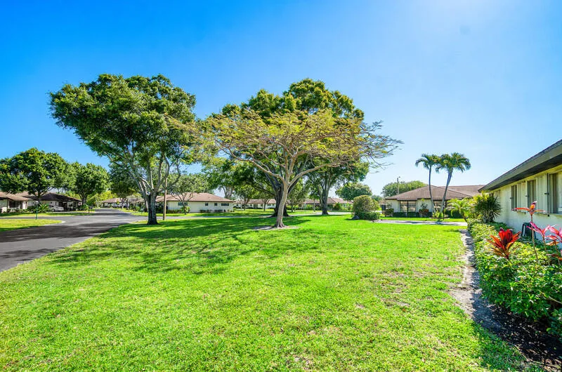 Beautiful side yard