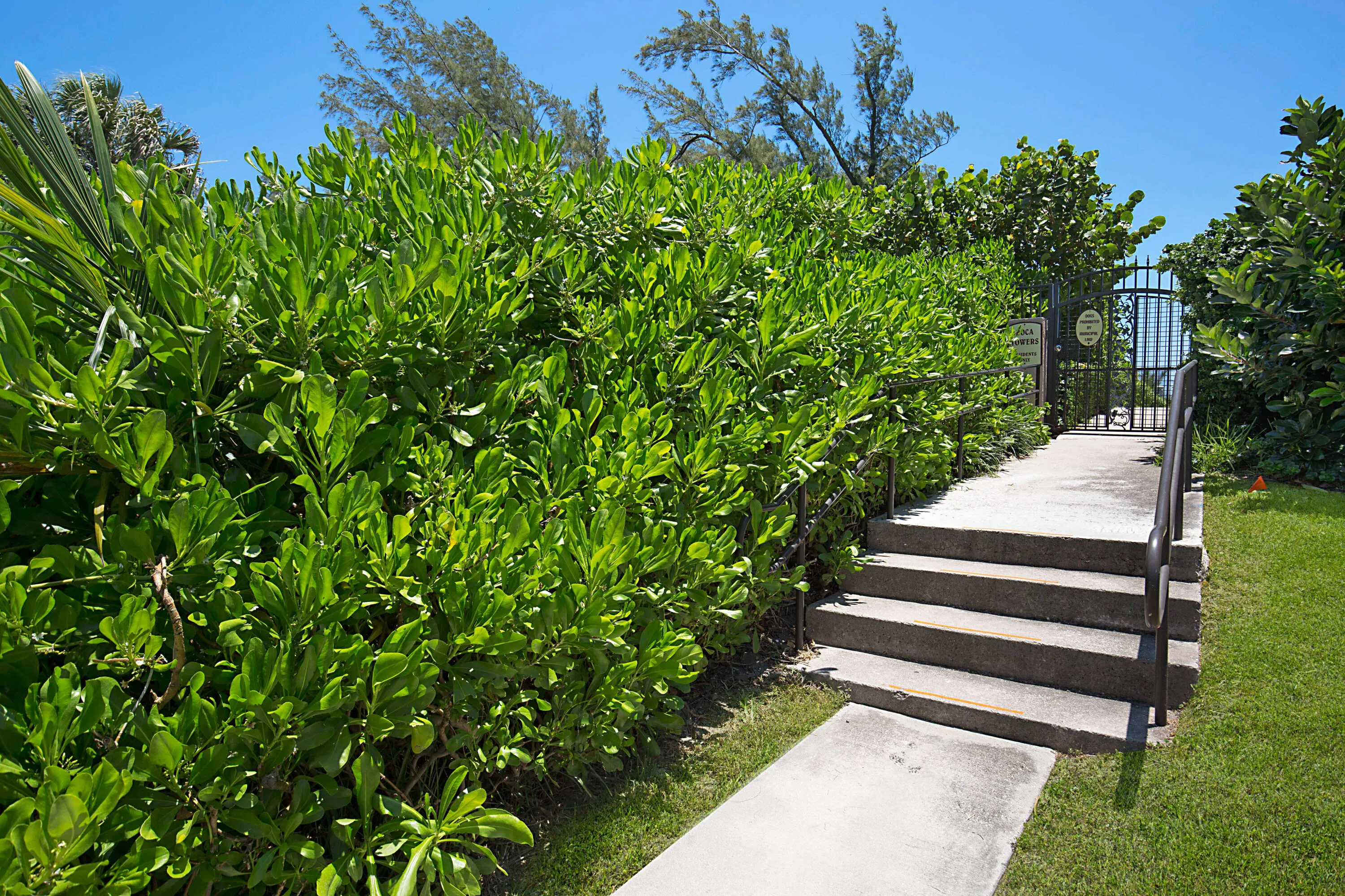 Property photo 57