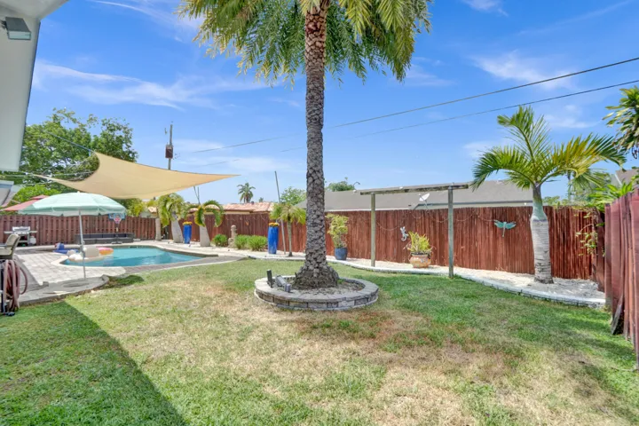 backyard 1