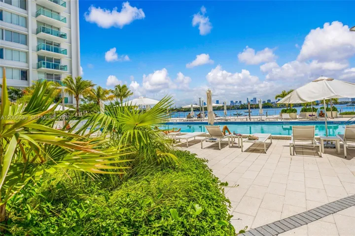 these images are property of SFLI