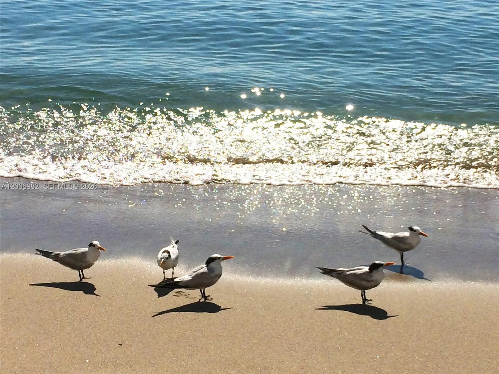 Walk to the beach