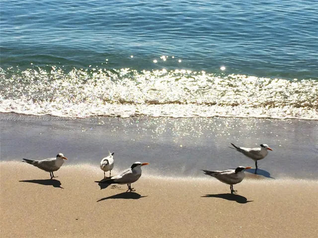 Walk to the beach
