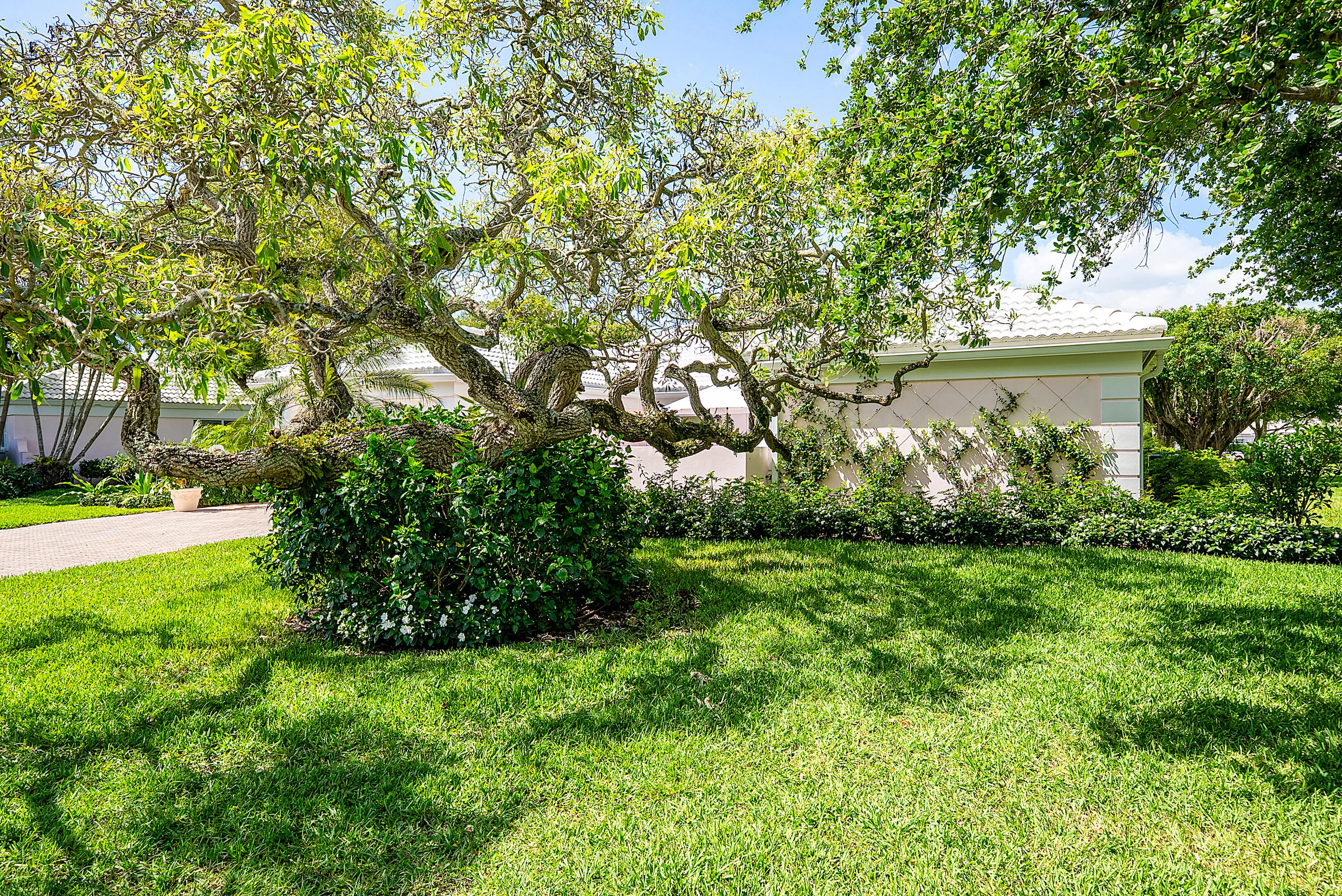 front yard