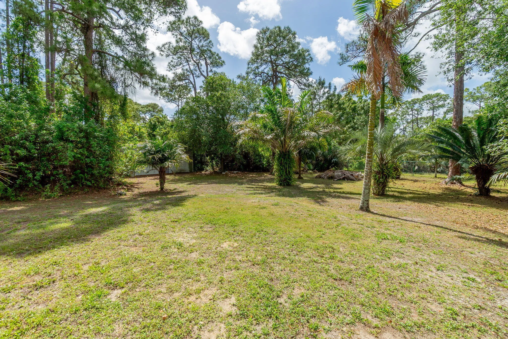 40-web-or-mls-DSC04735