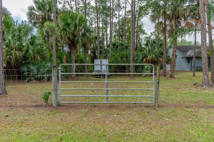 52-web-or-mls-DSC04751