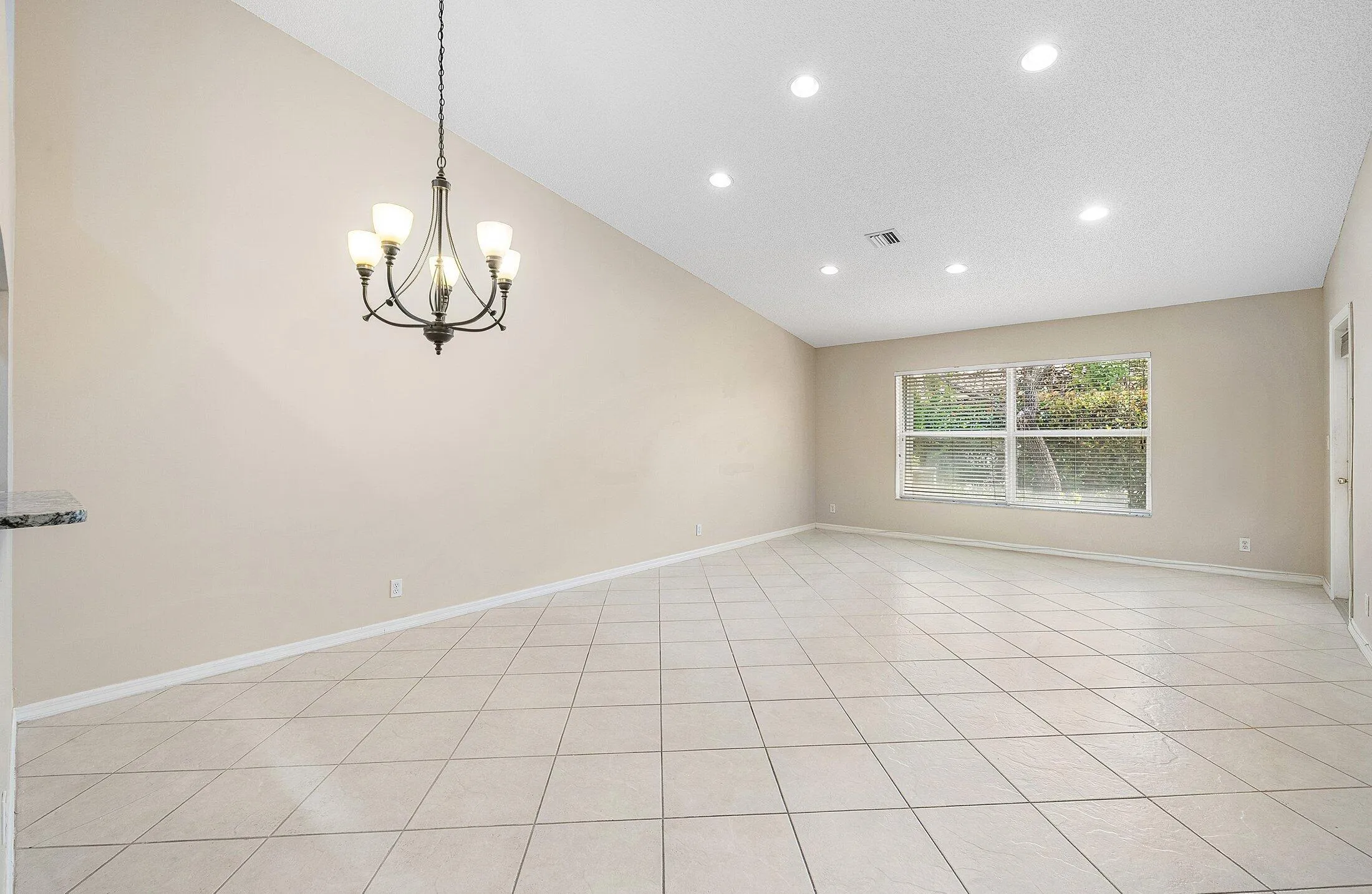 Dining/Living Area