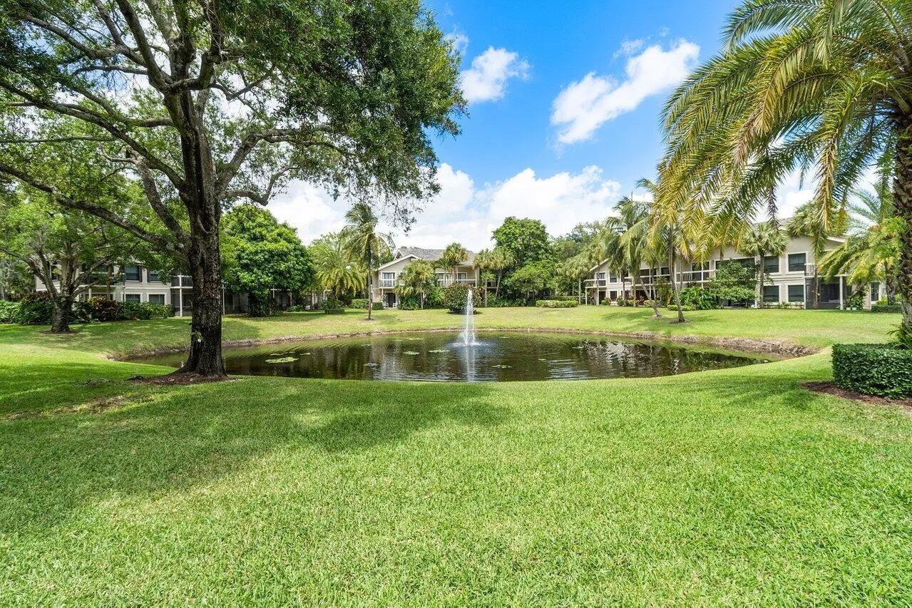 Pond view