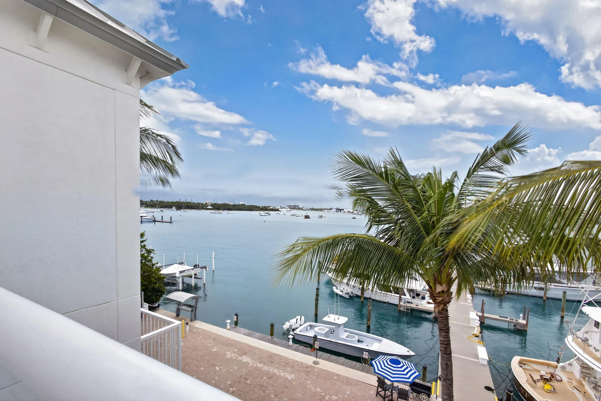 26-web-or-mls-5D1A2870