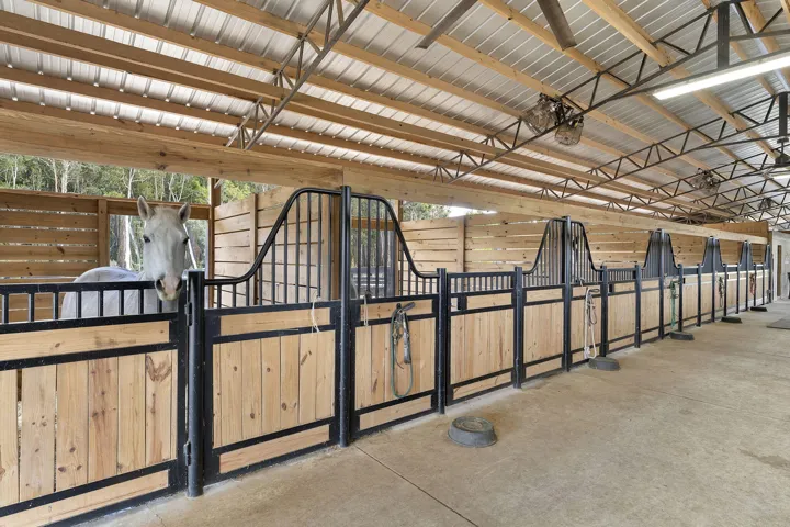 43-web-or-mls-DSC05321