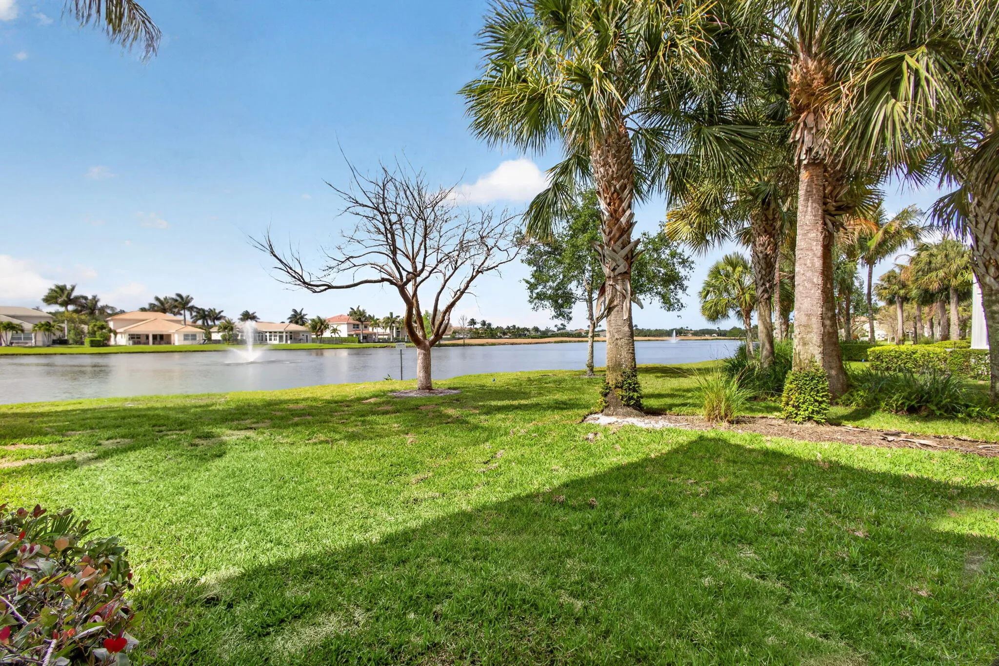 50-web-or-mls-5D1A3645