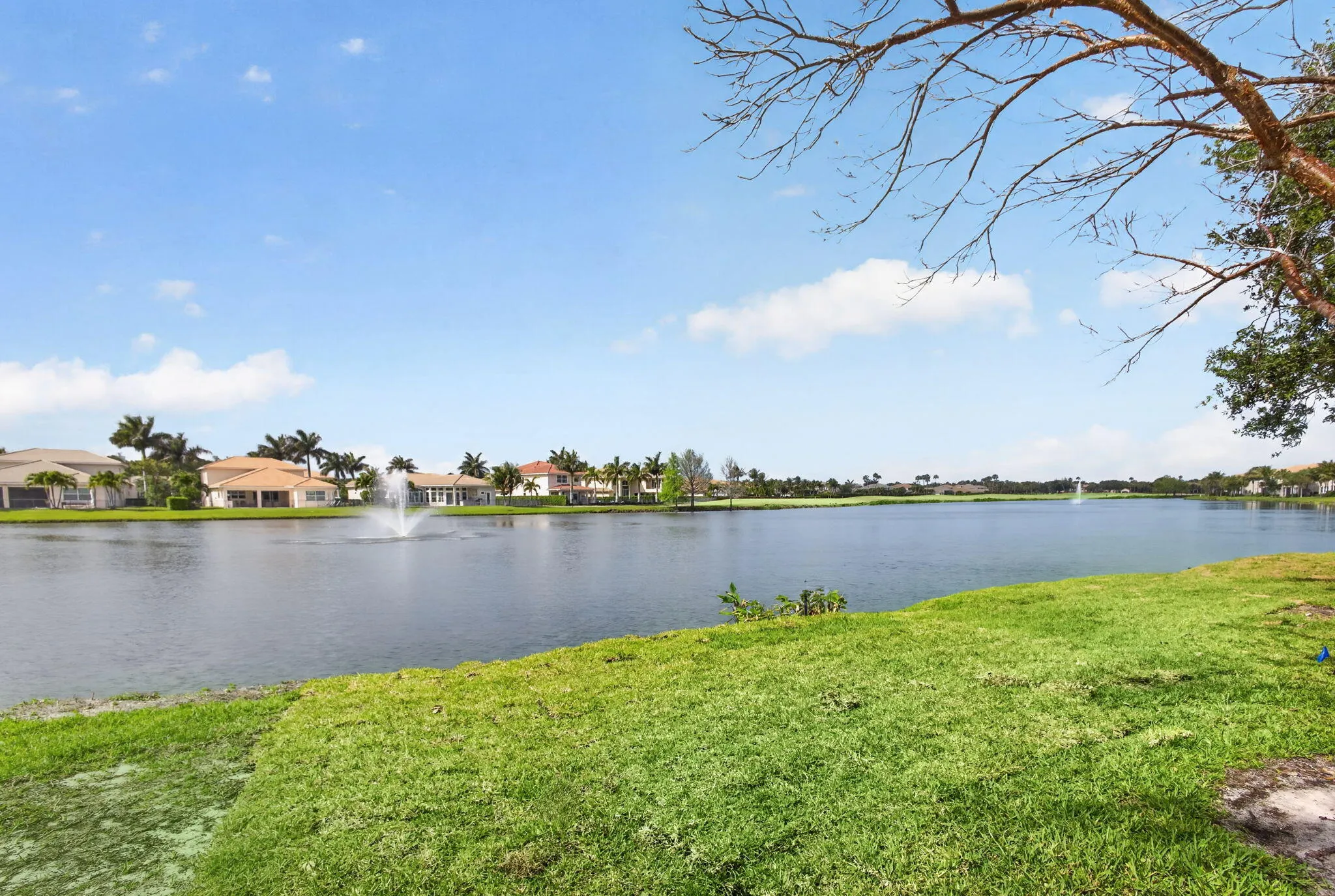 52-web-or-mls-5D1A3657