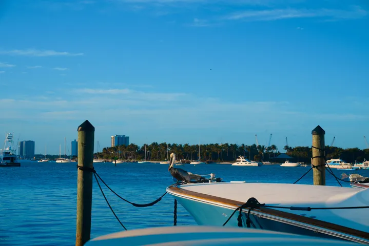 HAVN_Pelican_Boat_DSC02107