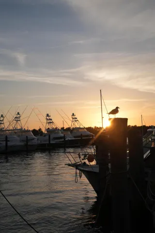 Havn_Yacht Club at Sunset
