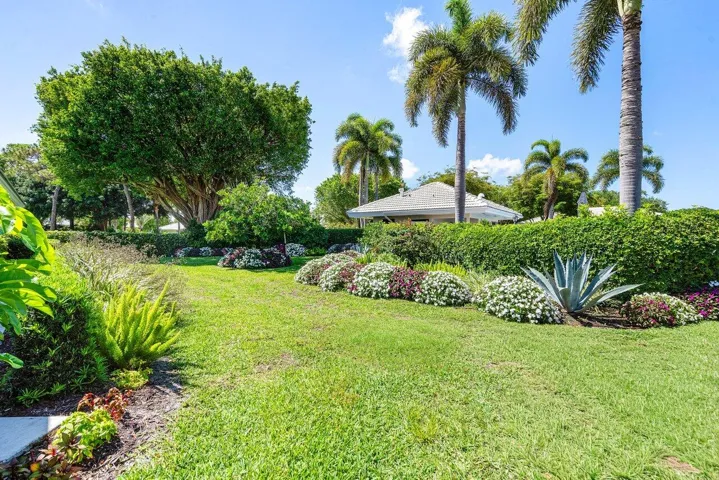 garden
