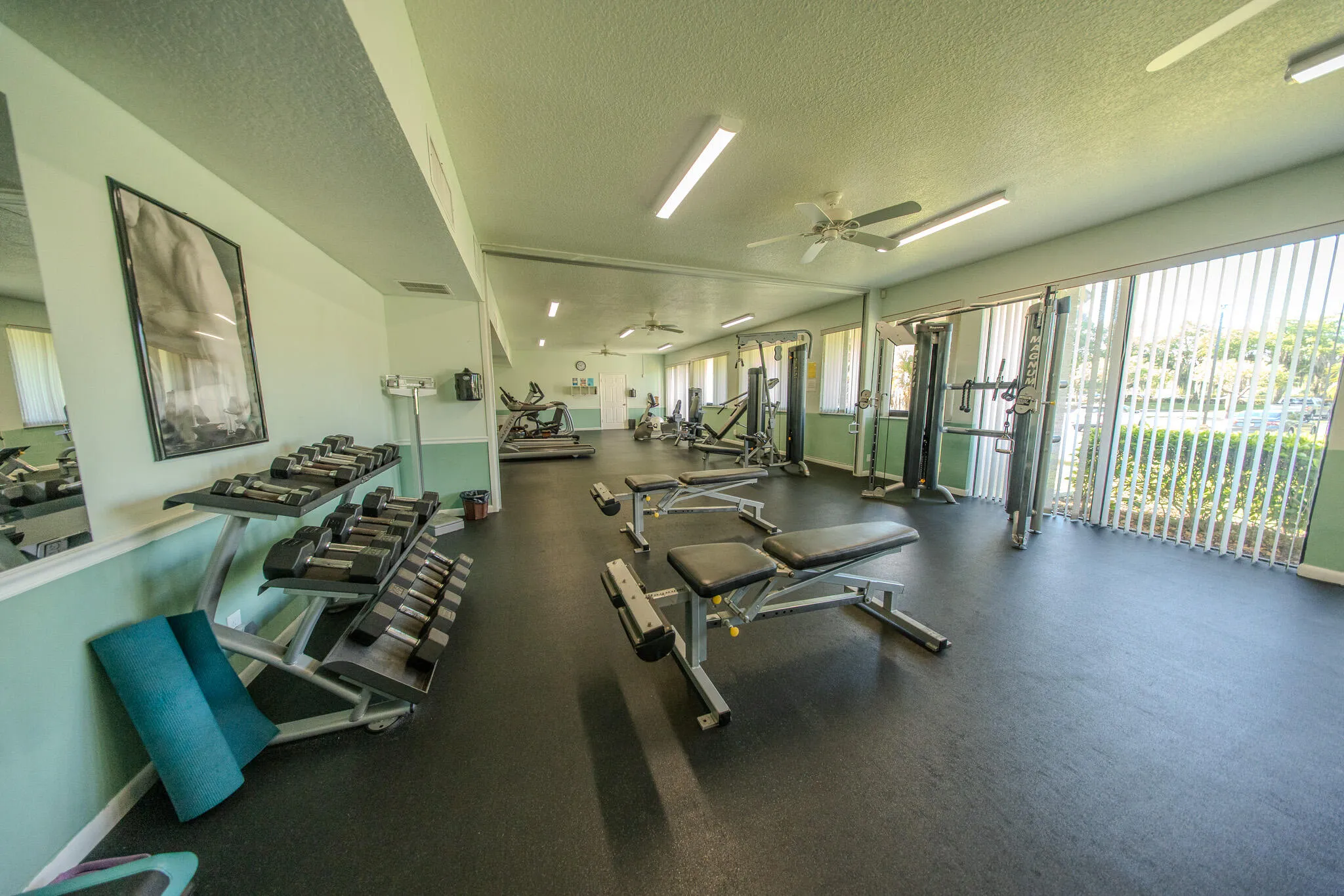 Gym,