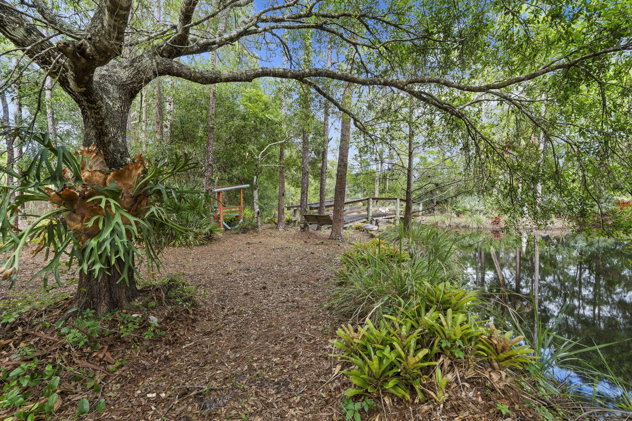 Property photo 44