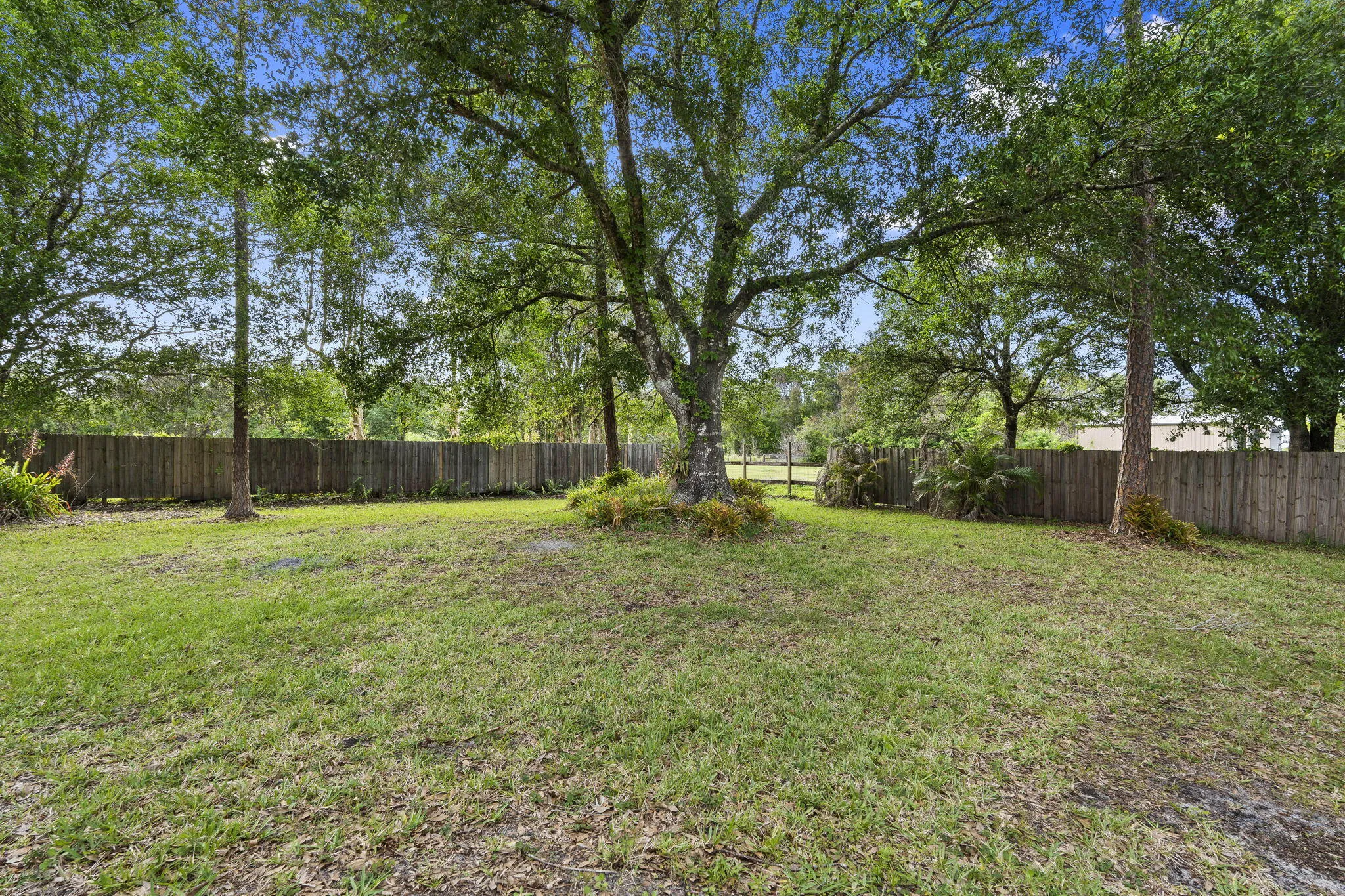 Property photo 49