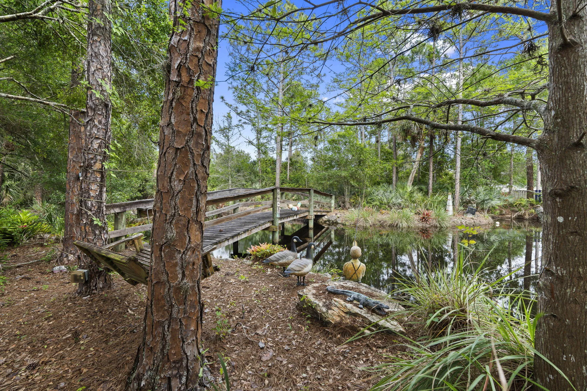 Property photo 51