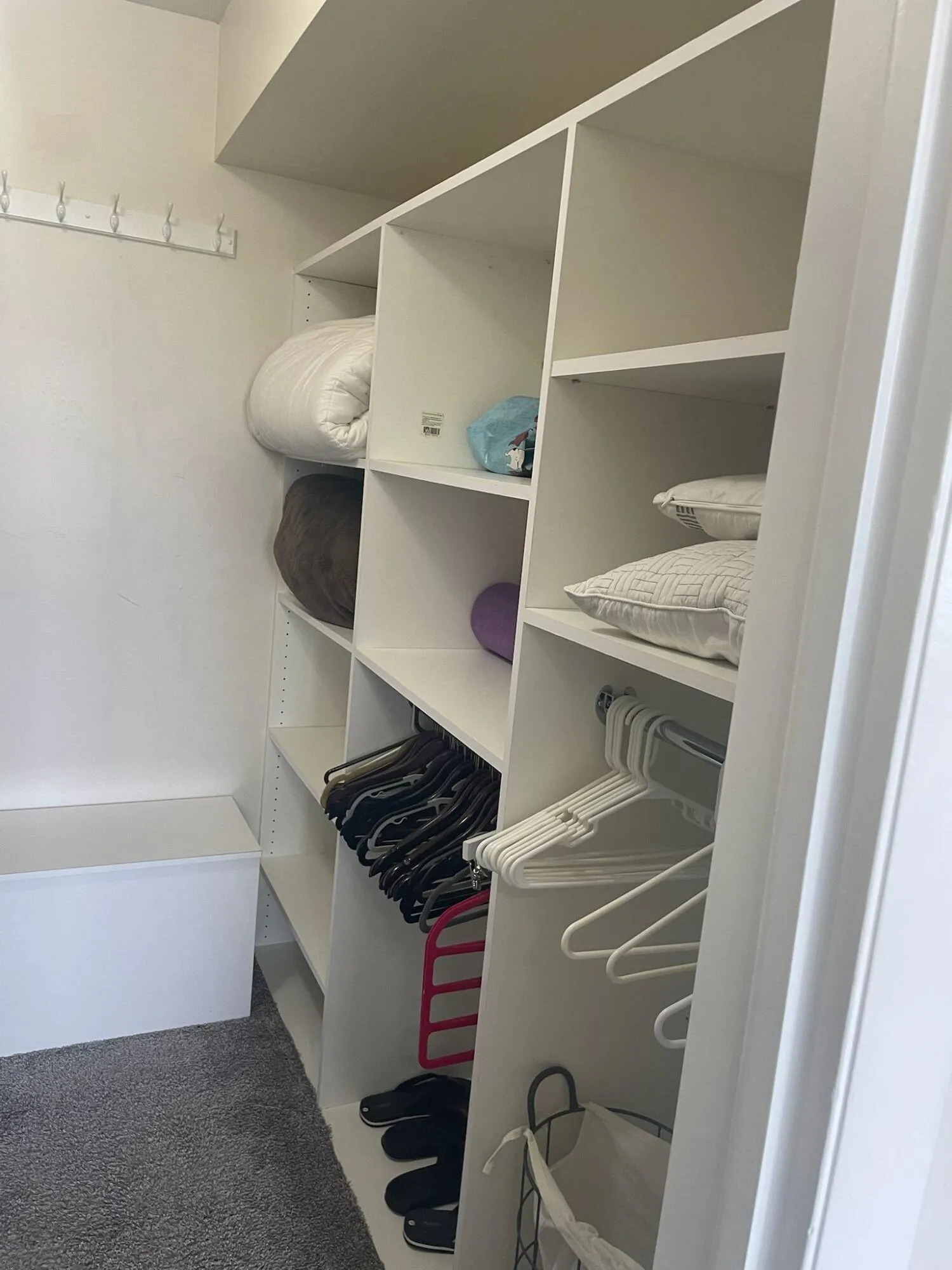 Walking Closet 1