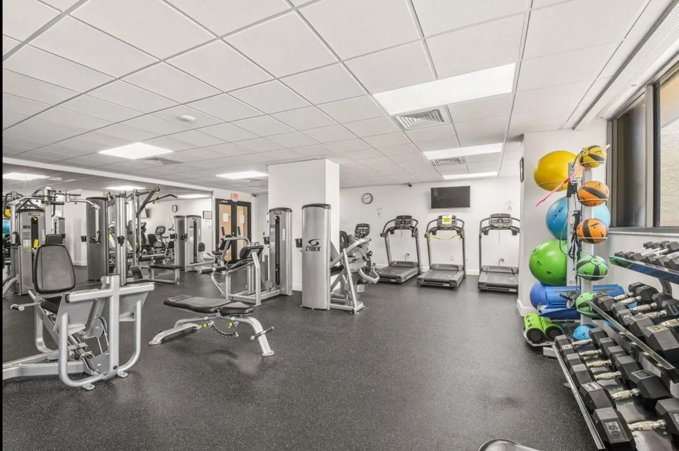 gym