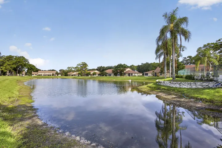 48-web-or-mls-BS1A9938